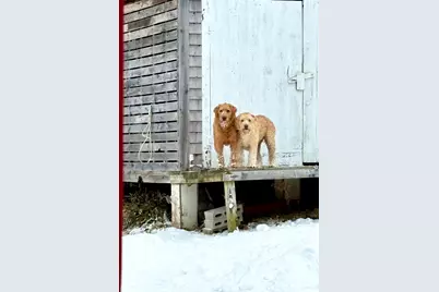 252 Ox Cove Road, Pembroke, ME 04666 - Photo 59