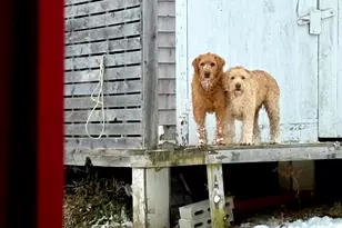 252 Ox Cove Rd, Pembroke, ME 04666 - Photo 59