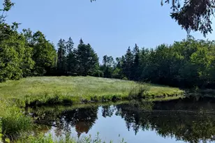 252 Ox Cove Rd, Pembroke, ME 04666 - Photo 61