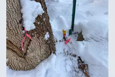 68 Enfield Road, Lincoln, ME 04457 - Photo 31