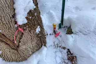 68 Enfield Rd, Lincoln, ME 04457 - Photo 31