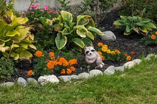 8 Ross Ridge Rd, Littleton, ME 04730 - Photo 19