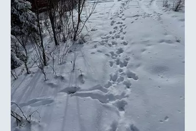 330 Harris Hill Road, Weston, ME 04424 - Photo 11