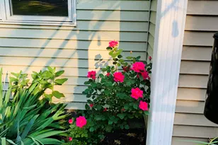 77 Holmes Rd, Winthrop, ME 04364 - Photo 65