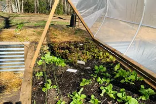 77 Holmes Rd, Winthrop, ME 04364 - Photo 71