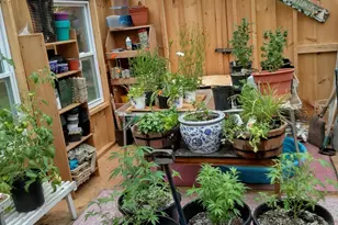 62 North St, Mechanic Falls, ME 04256 - Photo 29