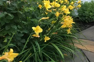 148 Breakwater Dr, South Portland, ME 04106 - Photo 9