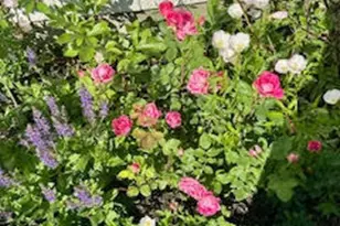 110 Bennett Rd, New Gloucester, ME 04260 - Photo 9