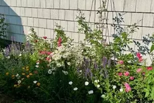 110 Bennett Rd, New Gloucester, ME 04260 - Photo 5