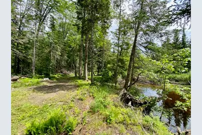 00 Pratt Road, Parsonsfield, ME 04047 - Photo 11