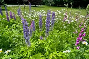 15 Harbor Rd, Woodstock, ME 04219 - Photo 43