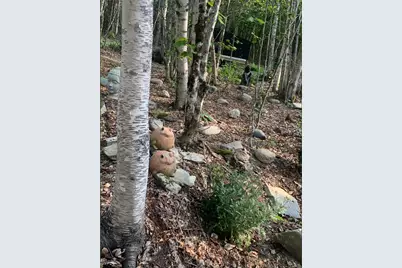 14 Pushaw Woods Lane, Hudson, ME 04468 - Photo 19