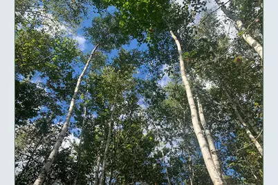 14 Pushaw Woods Lane, Hudson, ME 04468 - Photo 15