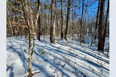 Tbd Swans Falls Road #Lot B, Fryeburg, ME 04037 - Photo 11