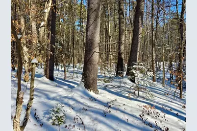 Tbd Swans Falls Road #Lot B, Fryeburg, ME 04037 - Photo 3