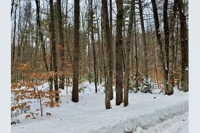 Tbd Swans Falls Road #Lot B, Fryeburg, ME 04037 - Photo 9