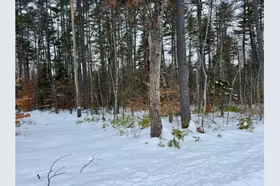 Tbd Swans Falls Road #Lot A, Fryeburg, ME 04037 - Photo 7
