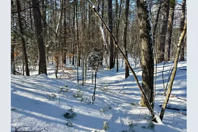 Tbd Swans Falls Road #Lot A, Fryeburg, ME 04037 - Photo 5