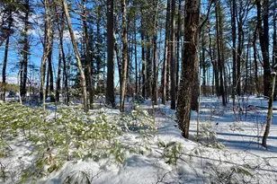Tbd Swans Falls Rd, Fryeburg, ME 04037 - Photo 1