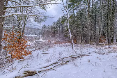 72 Shaw Brook Lane, Gray, ME 04039 - Photo 39