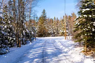 186 Pistols N Petals Rd, Warren, ME 04864 - Photo 25