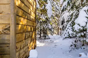 186 Pistols N Petals Rd, Warren, ME 04864 - Photo 39