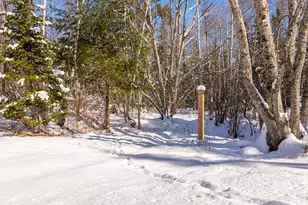 186 Pistols N Petals Rd, Warren, ME 04864 - Photo 33