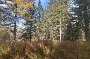 233 Porter Nadeau Rd, Eustis, ME 04936 - Photo 13