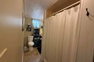 114 East Shore Rd, Benedicta, ME 04733 - Photo 31