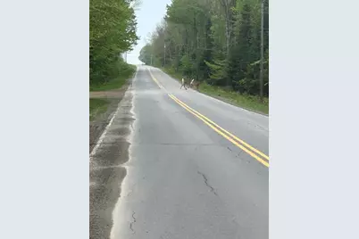 114 East Shore Road, Benedicta, ME 04733 - Photo 53