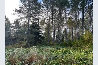 249 Madawaska Road, New Sweden, ME 04762 - Photo 5