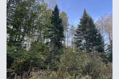 249 Madawaska Road, New Sweden, ME 04762 - Photo 7