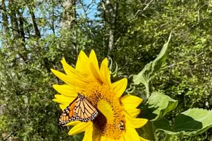 119 Fish St, Fryeburg, ME 04037 - Photo 43