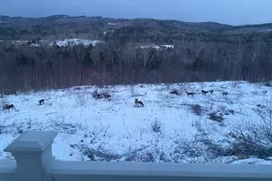 1882 N Rd, Cornish, ME 04020 - Photo 9