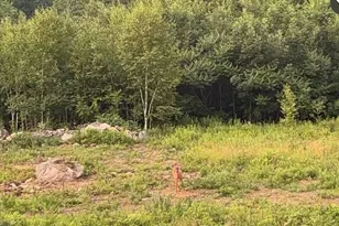 1882 N Rd, Cornish, ME 04020 - Photo 11