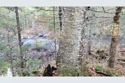 Lot 11 Fox Run, Mariaville, ME 04605 - Photo 3