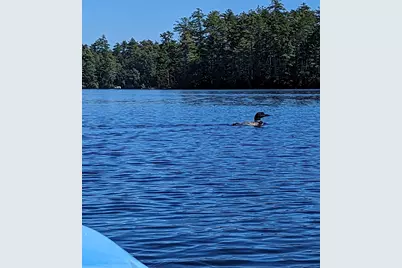 4 Watchic Rd 15, Standish, ME 04084 - Photo 63