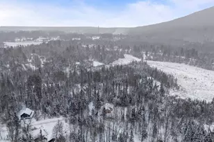 12 Bog Rd, Coplin Plt, ME 04964 - Photo 45