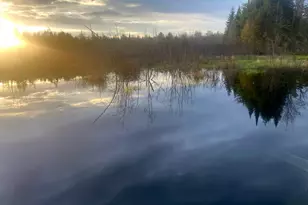 2060 Dexter Rd, Dover Foxcroft, ME 04426 - Photo 75