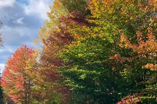 2060 Dexter Rd, Dover Foxcroft, ME 04426 - Photo 77