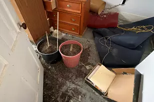 20 Main St, Sangerville, ME 04479 - Photo 73