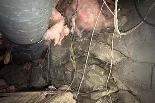 5 Liberty St, Ellsworth, ME 04605 - Photo 157