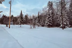 101 County Woods Rd, Newport, ME 04953 - Photo 9