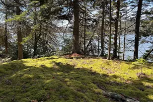 510 Grand Marsh Bay Rd, Gouldsboro, ME 04607 - Photo 5