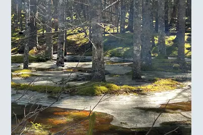 510 Grand Marsh Bay Road, Gouldsboro, ME 04607 - Photo 45