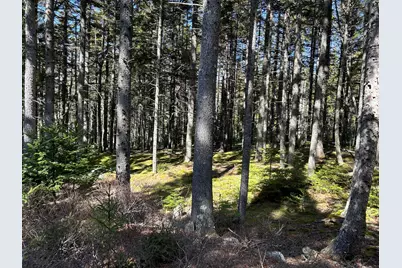 510 Grand Marsh Bay Road, Gouldsboro, ME 04607 - Photo 43
