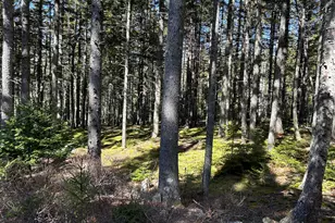 510 Grand Marsh Bay Rd, Gouldsboro, ME 04607 - Photo 43