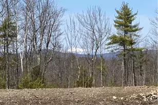 4 Macie Dr, Standish, ME 04084 - Photo 9