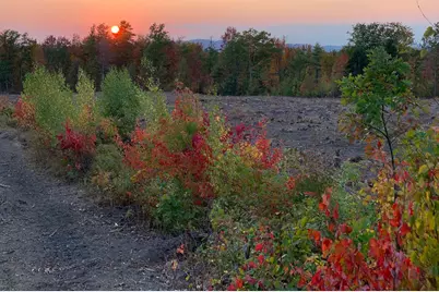 4 Macie Drive #70, Standish, ME 04084 - Photo 5