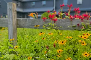 74 Jackson Rd, Poland, ME 04274 - Photo 117